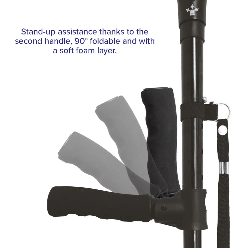 DR-HO'S Get Up & Go Deluxe Walking Stick