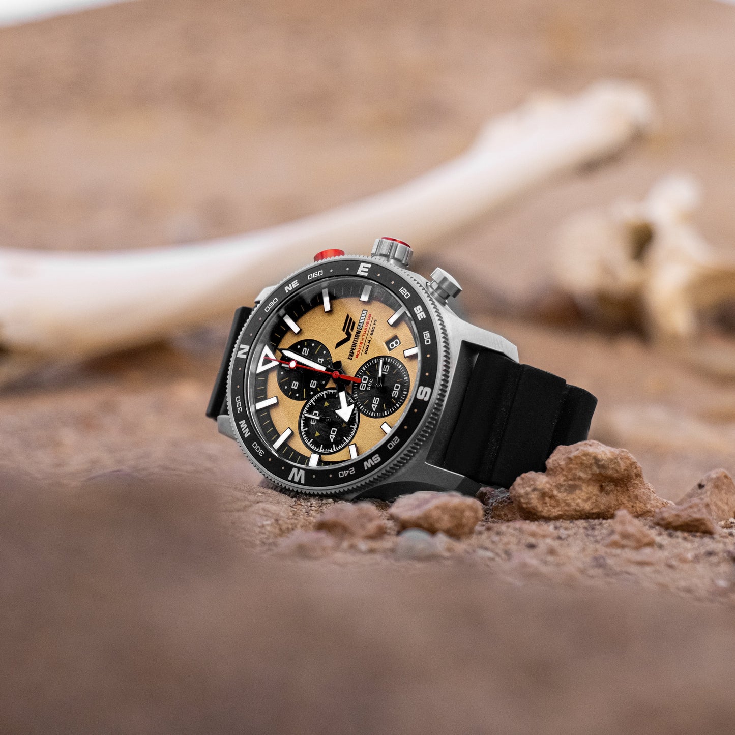 Vostok Europe Expedition Sahara “Route of Tuaregs” 6S10-598A753 Watch