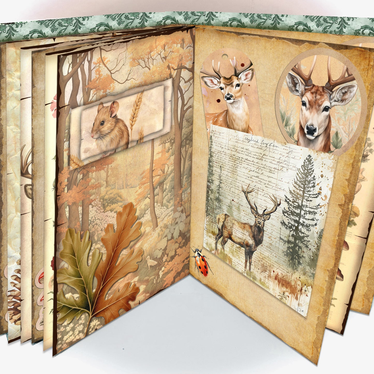 The Crafty Witches Into the Forest Junk Journal Digital Collection