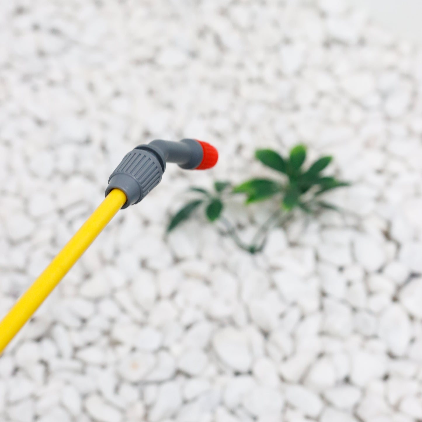 Streetwize 5L Portable Power Sprayer