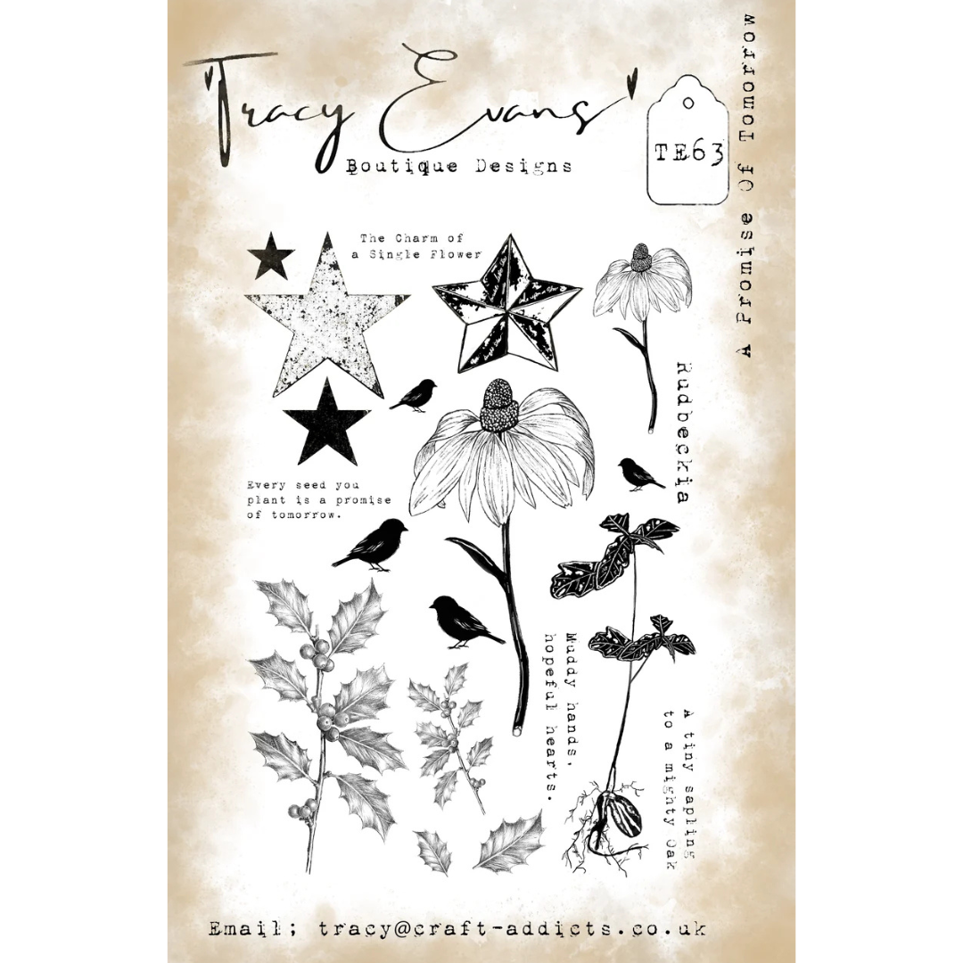 Tracy Evans A Promise for Tomorrow A5 Stamp Set