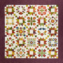 Quilter's Trading Post Emma's Mini Baltimore Quilt Pattern