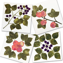 Quilter's Trading Post Apple & Blackberry Applique Blocks Pattern