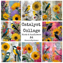 Bee Crafty Catalyst Collage A4 Papers - Birds & Sunflowers
