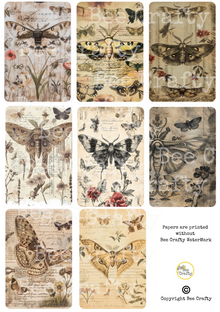 Bee Crafty Catalyst Collage A4 Papers - Moths