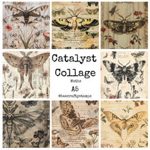 Bee Crafty Catalyst Collage A5 Papers - Moths