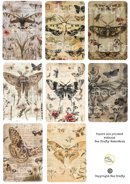 Bee Crafty Catalyst Collage A5 Papers - Moths