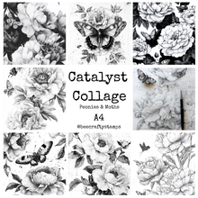 Bee Crafty Catalyst Collage A4 Papers - Moths & Peonies