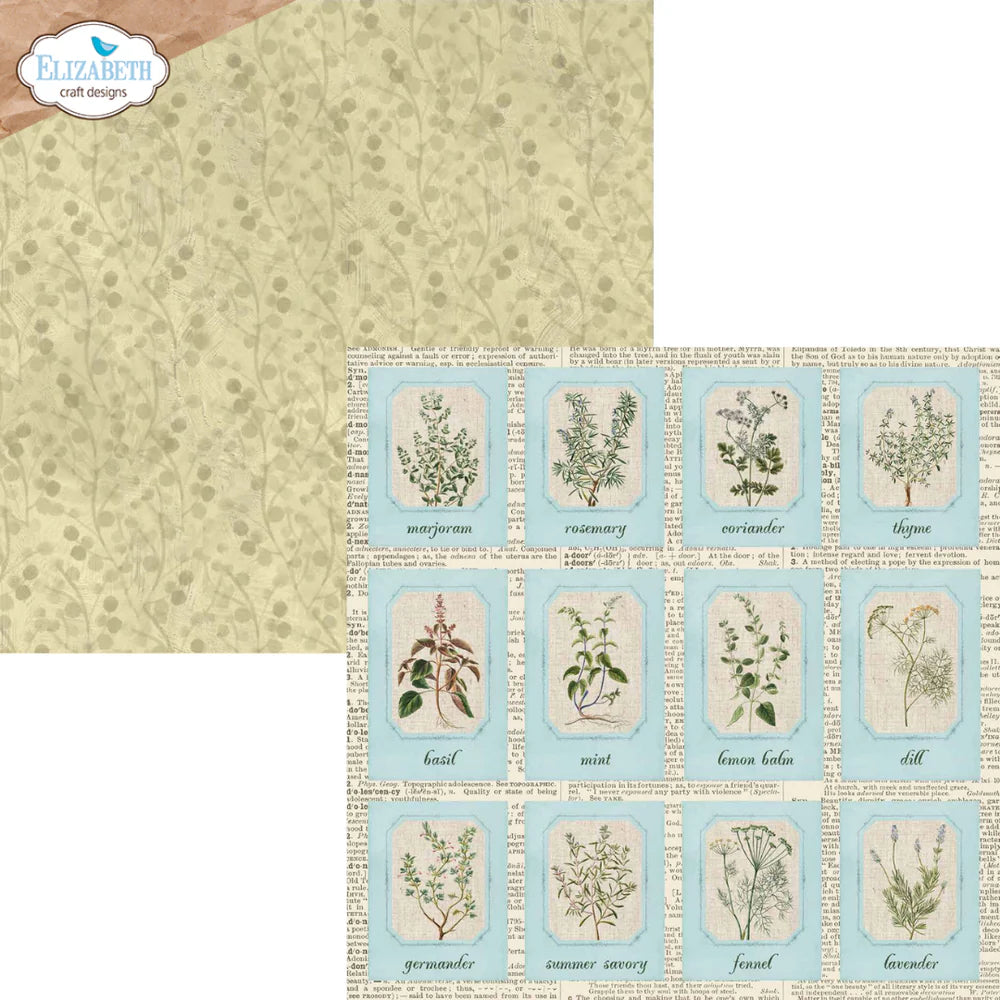 Elizabeth Craft Designs Everyday Memories 12" x 12" Patterned Cardstock Paper Pack