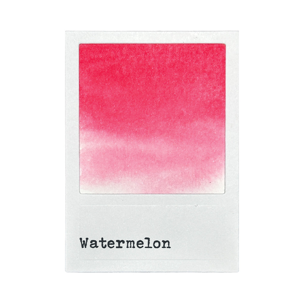 49 & Market Dye Ink Pads -  Watermelon