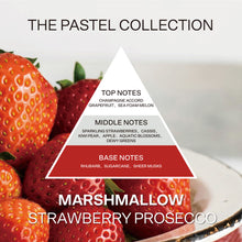 French Connection Pastel Range Marshmallow (Strawberry Prosecco) 4-Wick Candle 1.46kg