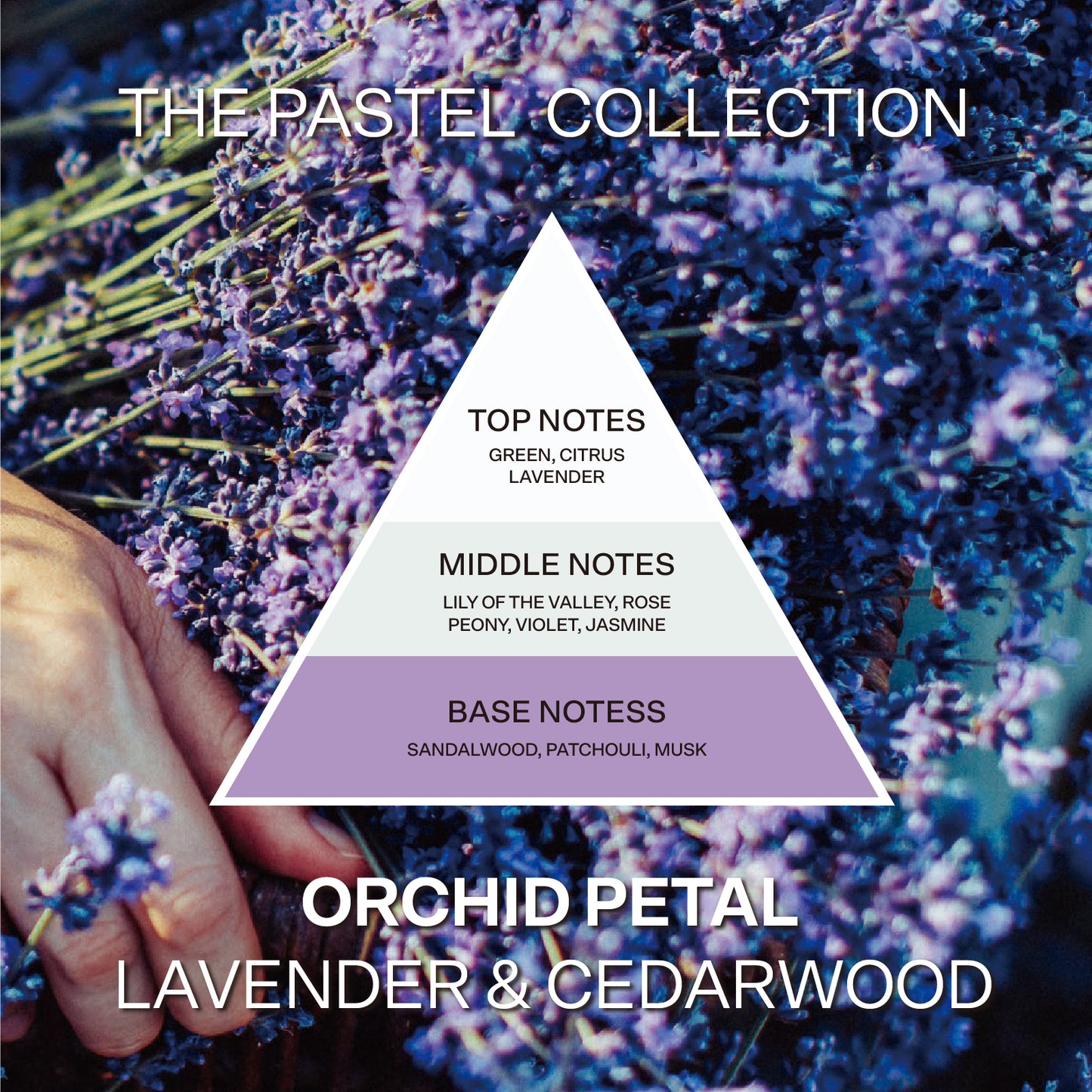 French Connection Pastel Range Orchid Petal (Lavender and Cedarwood) 4-Wick Candle 1.46kg