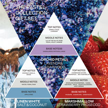 French Connection Pastel Range Trio of Reed Diffusers Gift Set 3 x 50ml