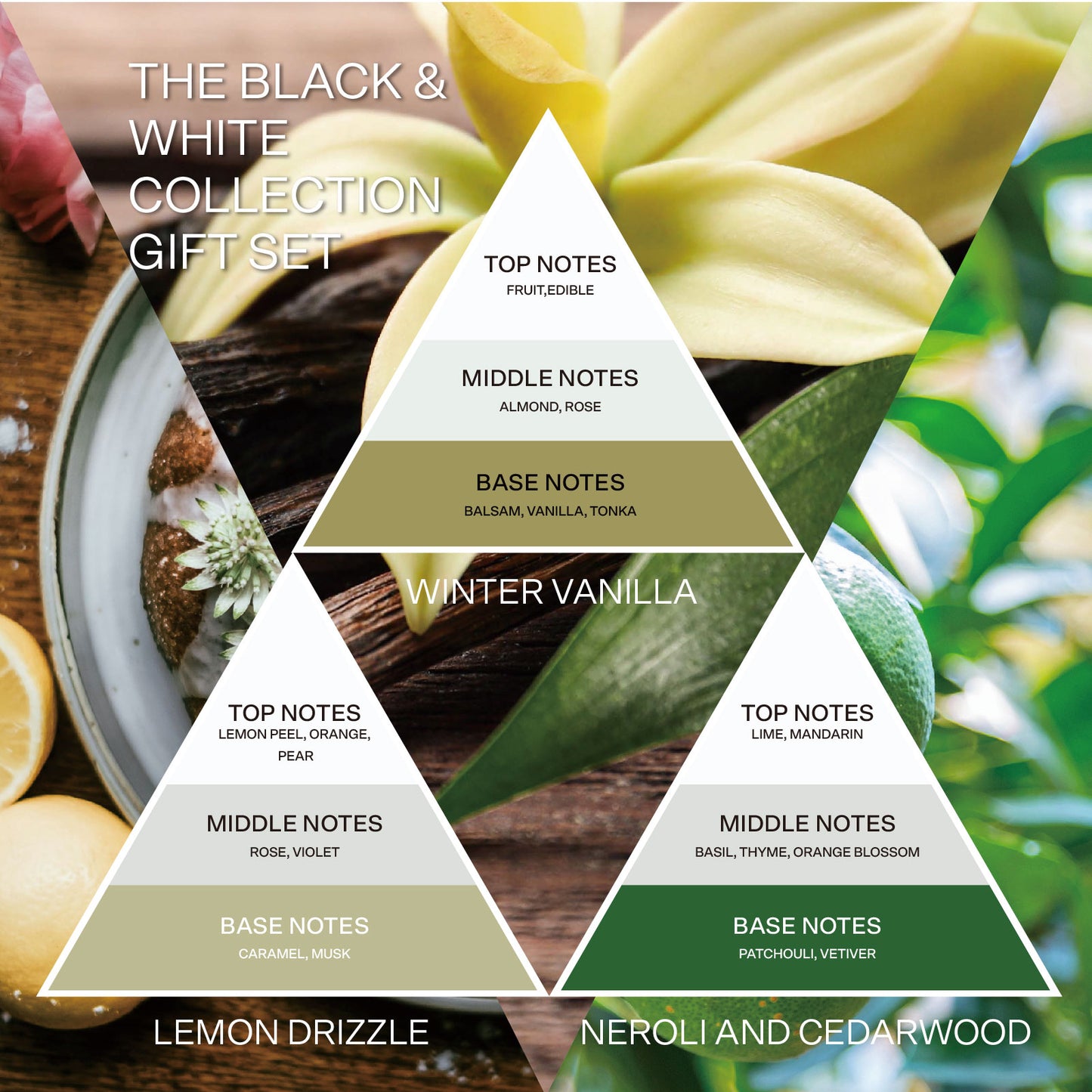 French Connection White Collection Trio of Reed Diffusers 3 x 50ml