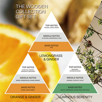 French Connection Wooden Surround Detail Trio of Reed Diffuser Gift Set 3 x 50ml