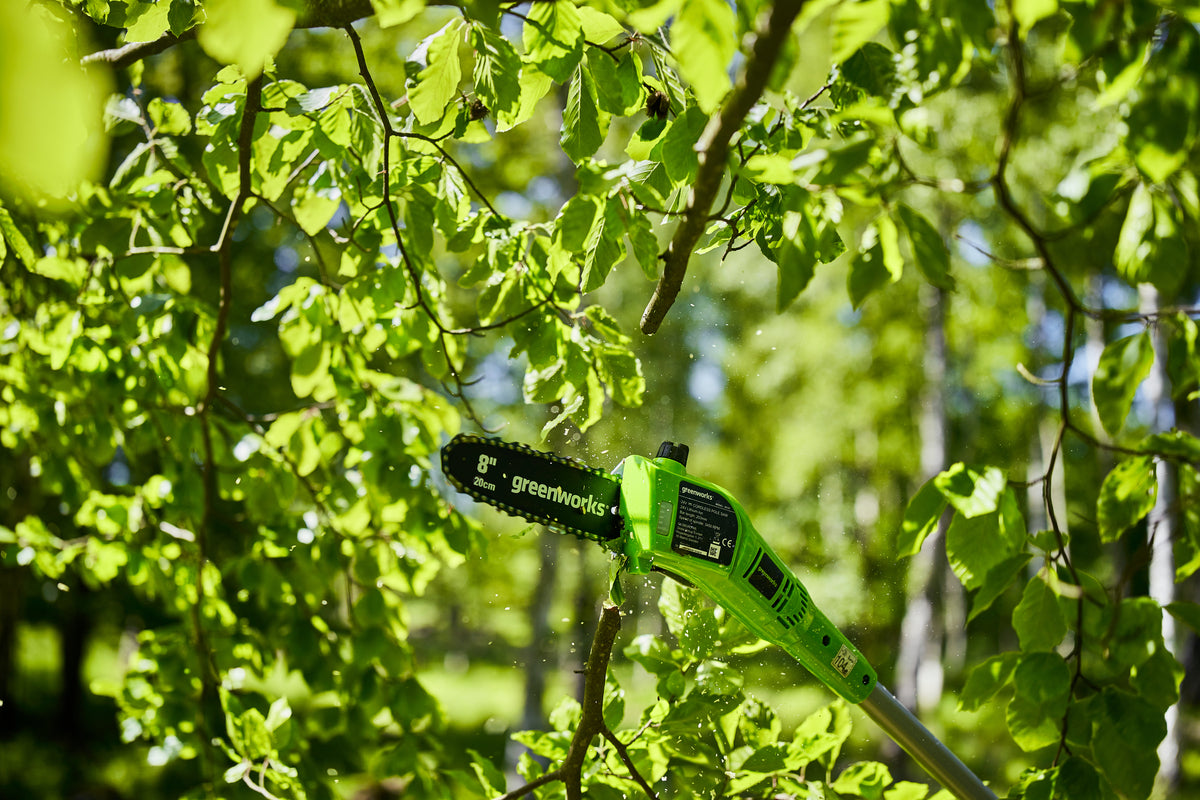 Greenworks 24V 20cm Cordless Pole Saw Kit – Battery & Charger – product detail or in-use view