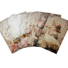 LaBlanche Spring Shrink Foils