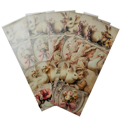 LaBlanche Spring Shrink Foils