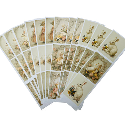 LaBlanche Spring Paper Kit