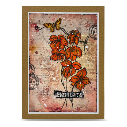 AALL & Create Whispers of Form Soizic Stamps Bundle | 6 Stamp Set Collection #TP-1398 to #TP-1403