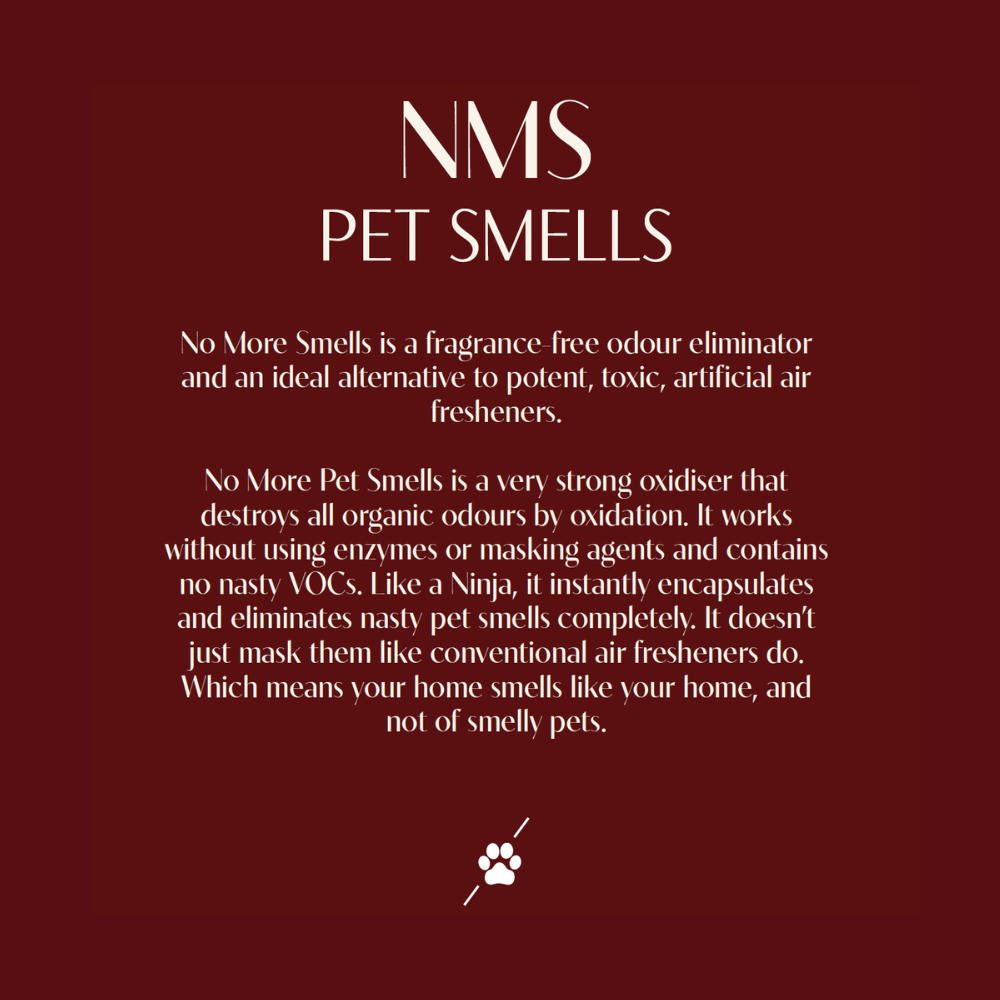 No More Pet Smells Odour Eliminator 200ml Spray & Refill | Exclusive Twin Pack
