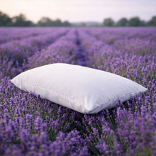 Pack of 2 Head2Sleep Lavender Scent Release Pillow