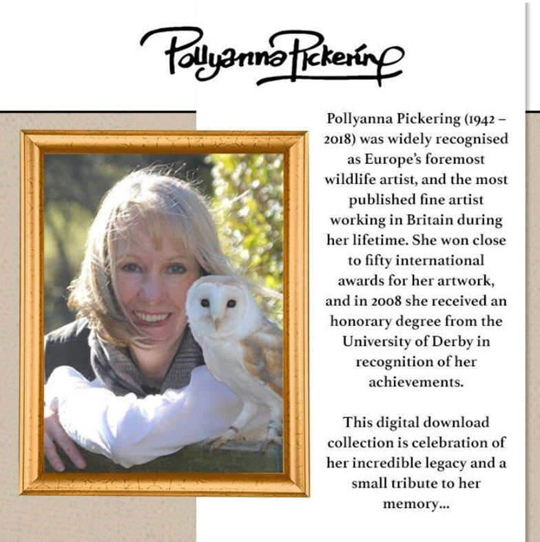 The Crafty Witches Pollyanna Pickering's 10th Anniversary Digital Bundle