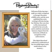 The Crafty Witches Pollyanna Pickering's 10th Anniversary Digital Bundle