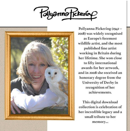 The Crafty Witches Pollyanna Pickering's 10th Anniversary Digital Bundle