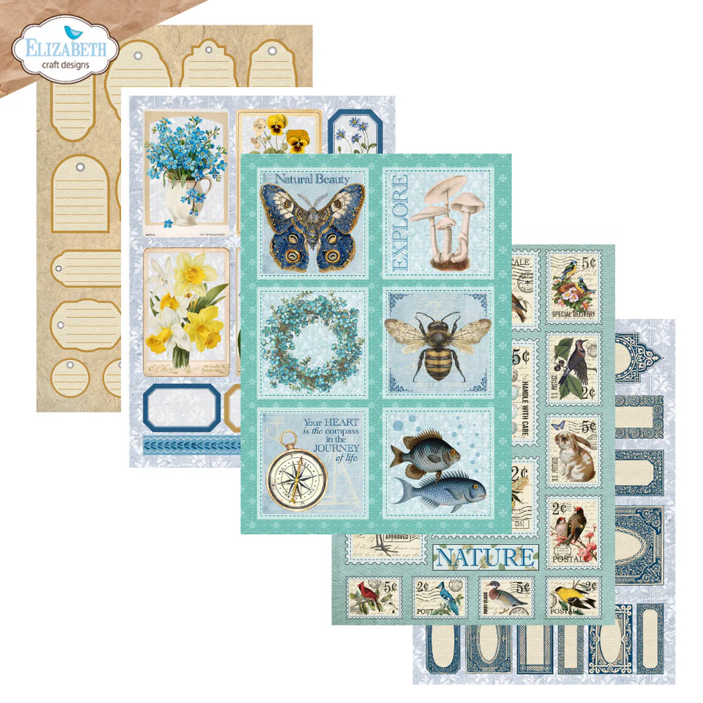 Elizabeth Craft Designs Everyday Memories Everyday Ephemera 1