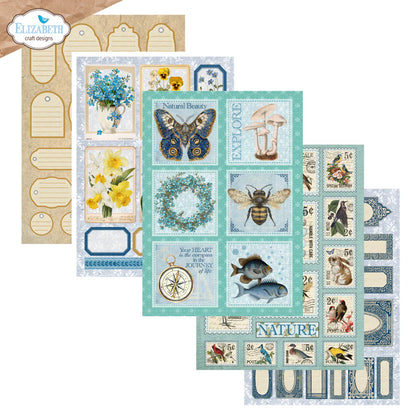 Elizabeth Craft Designs Everyday Memories Everyday Ephemera 1