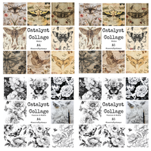 Bee Crafty Catalyst Collage Moths & Peony Bundle