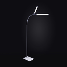 The Daylight Company DuoPro Floor Lamp