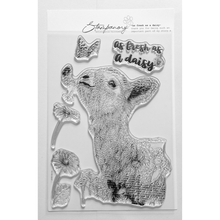 Stampanory As Fresh As a Daisy A5 Stamp - 5 Stamps