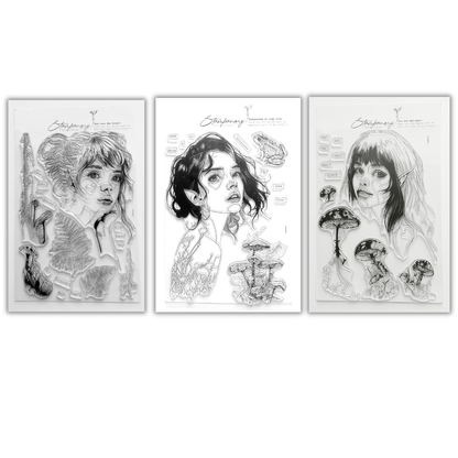 Stampanory Into the Forest we will go Collection 3 x A5 Stamp Sets - 39 Stamps