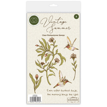 Craft Consortium Vintage Summer A6 Clear Photopolymer Stamps Hummingbird by Olena Kovalova 