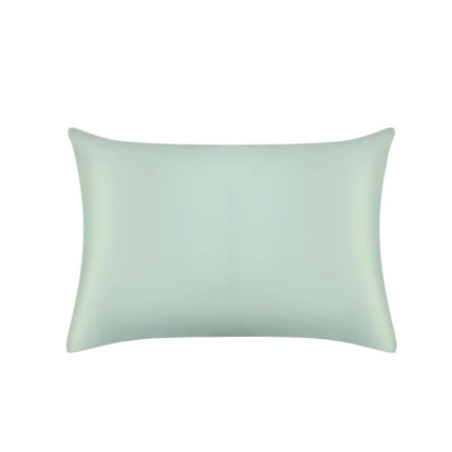 Jasmine Silk 22 Momme Silk Housewife Duck Egg Pillowcases