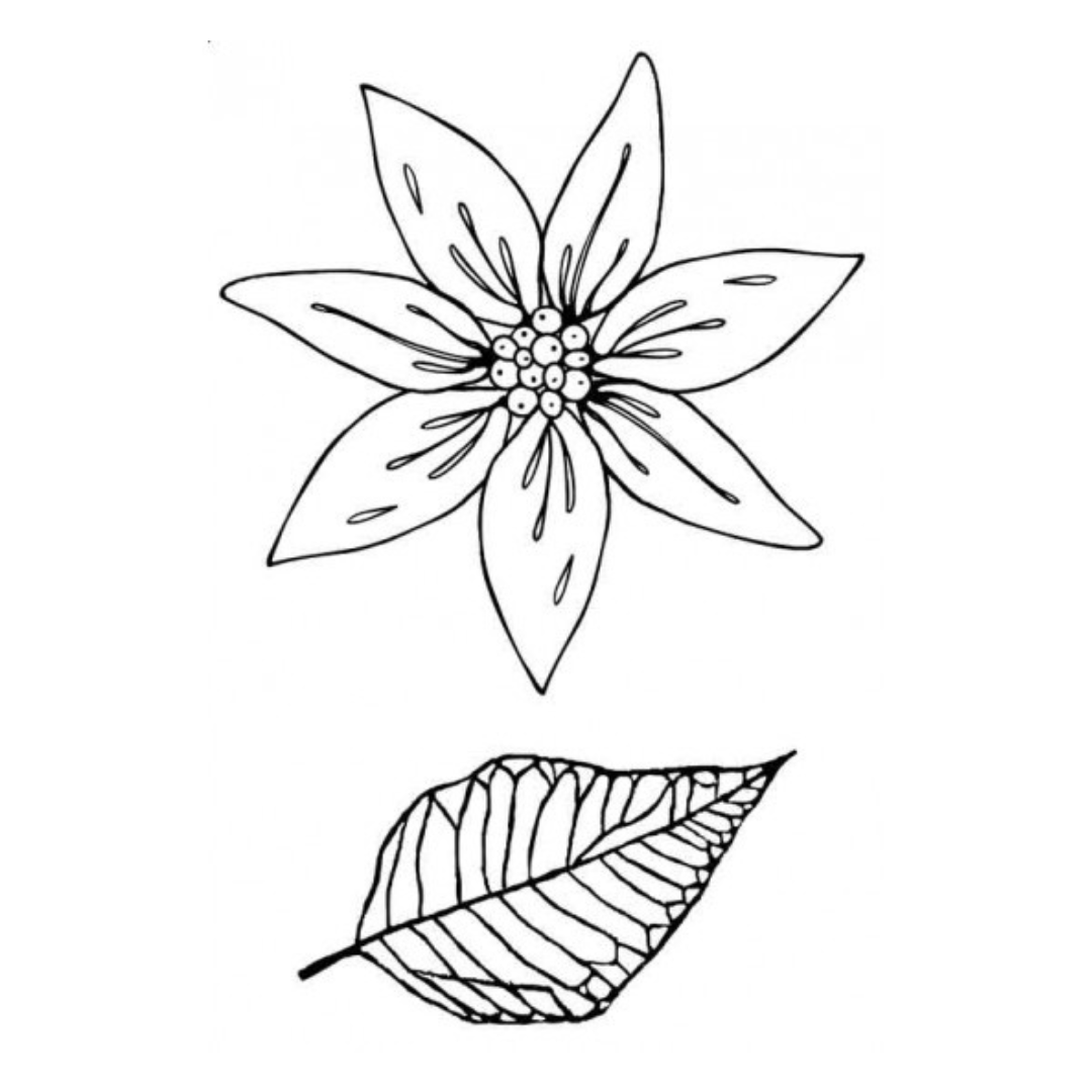 Stamp Addicts Poinsettia Duo cling mounted rubber stamp set