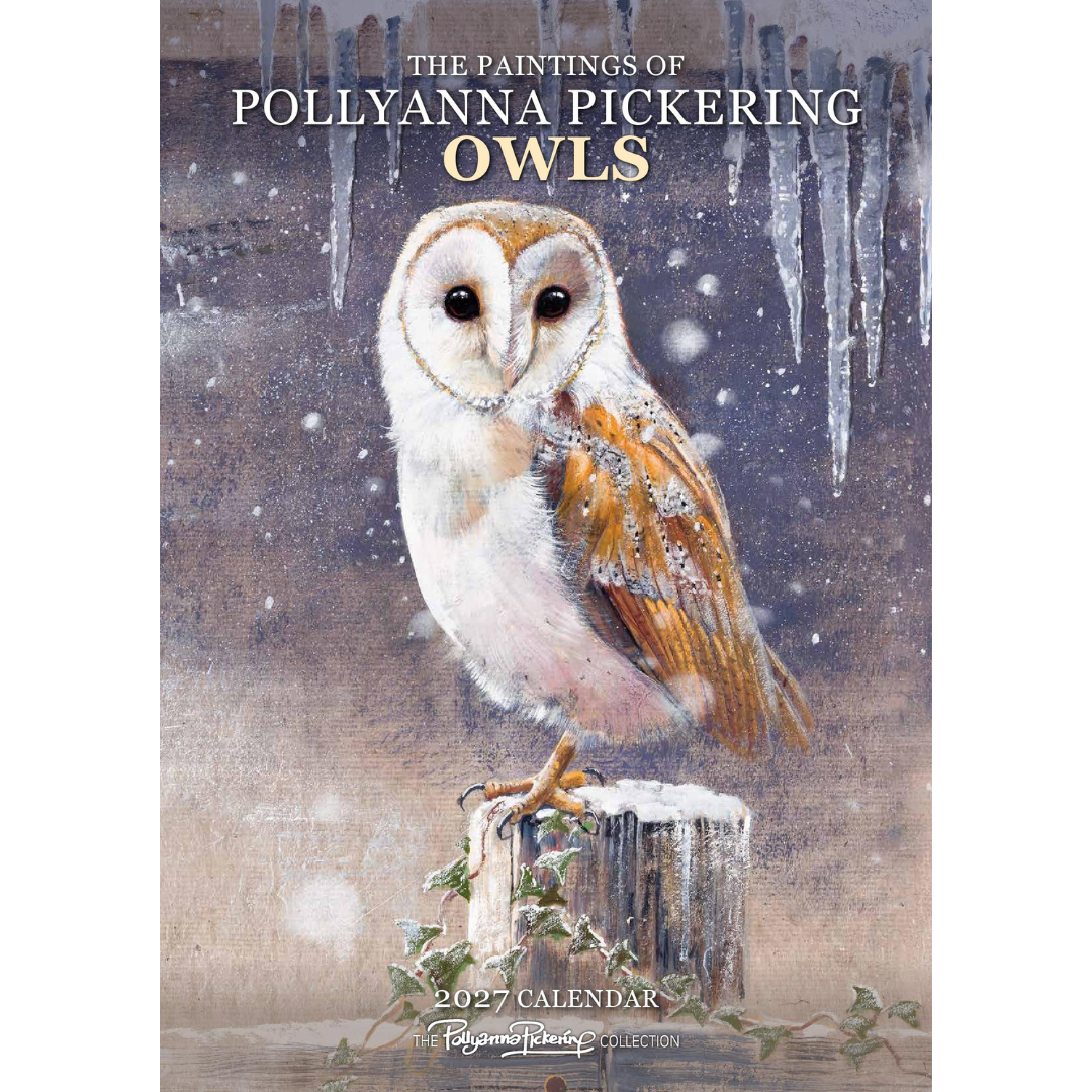 Pollyanna Pickering Owls 2027 Fine Art Calendar