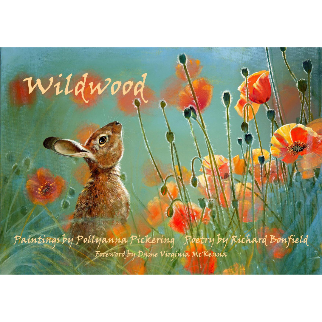 Wildwood featuring the paintings of Pollyanna Pickering Book