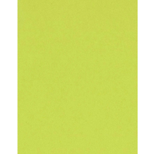 Bazzill Card Shoppe Heavyweight 25 x 8.5"x11" Cardstock Sheets - Juicy Pear