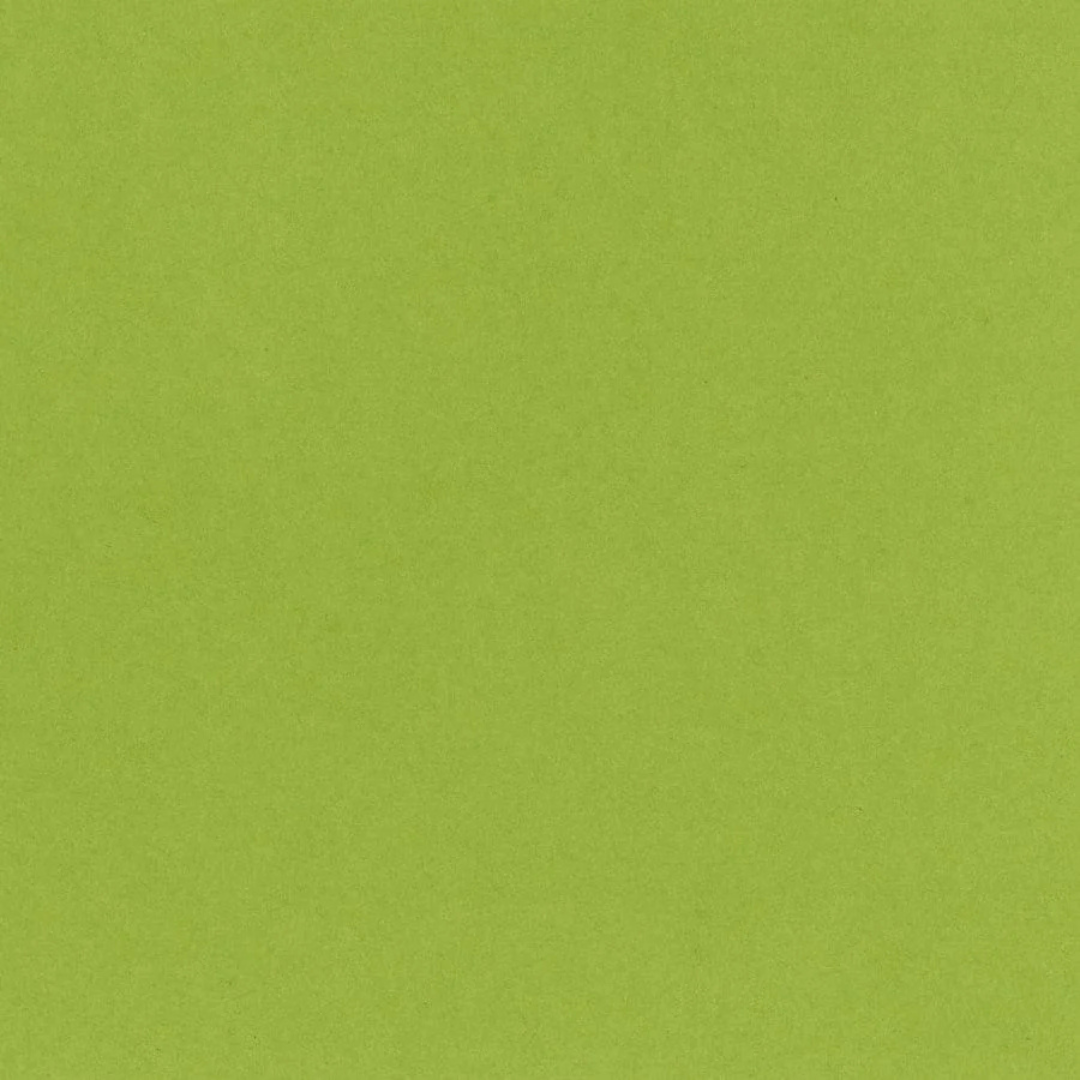 Bazzill Card Shoppe Heavyweight 25 x 12x12" Cardstock Sheets - Easter Grass