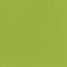 Bazzill Card Shoppe Heavyweight 25 x 12x12" Cardstock Sheets - Easter Grass