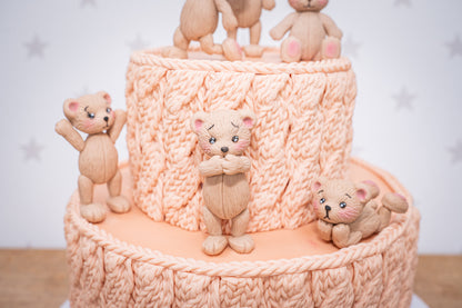 Karen Davies Sugarcraft Build-A-Teddy Silicone Mould