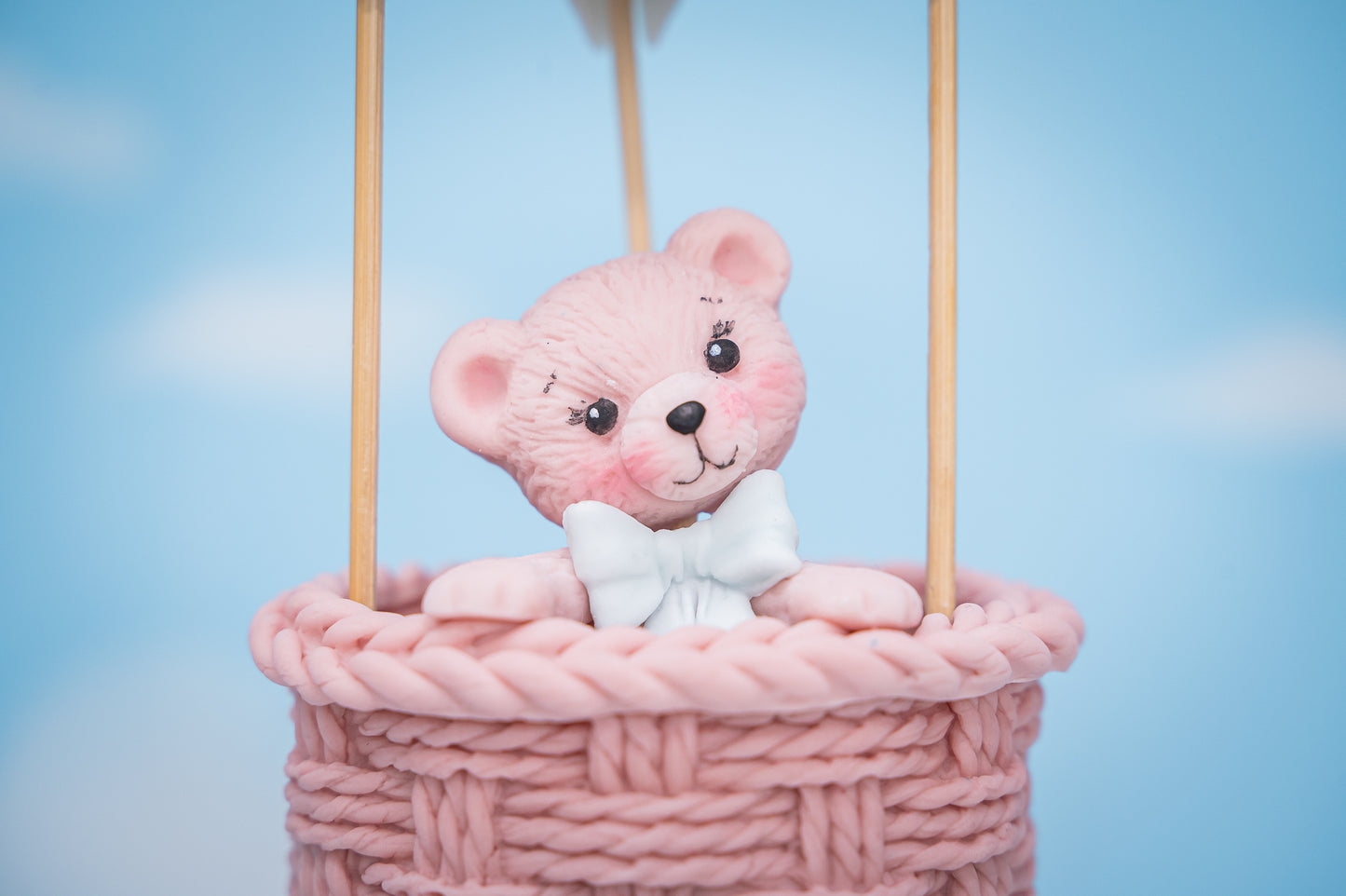 Karen Davies Sugarcraft Build-A-Teddy Silicone Mould