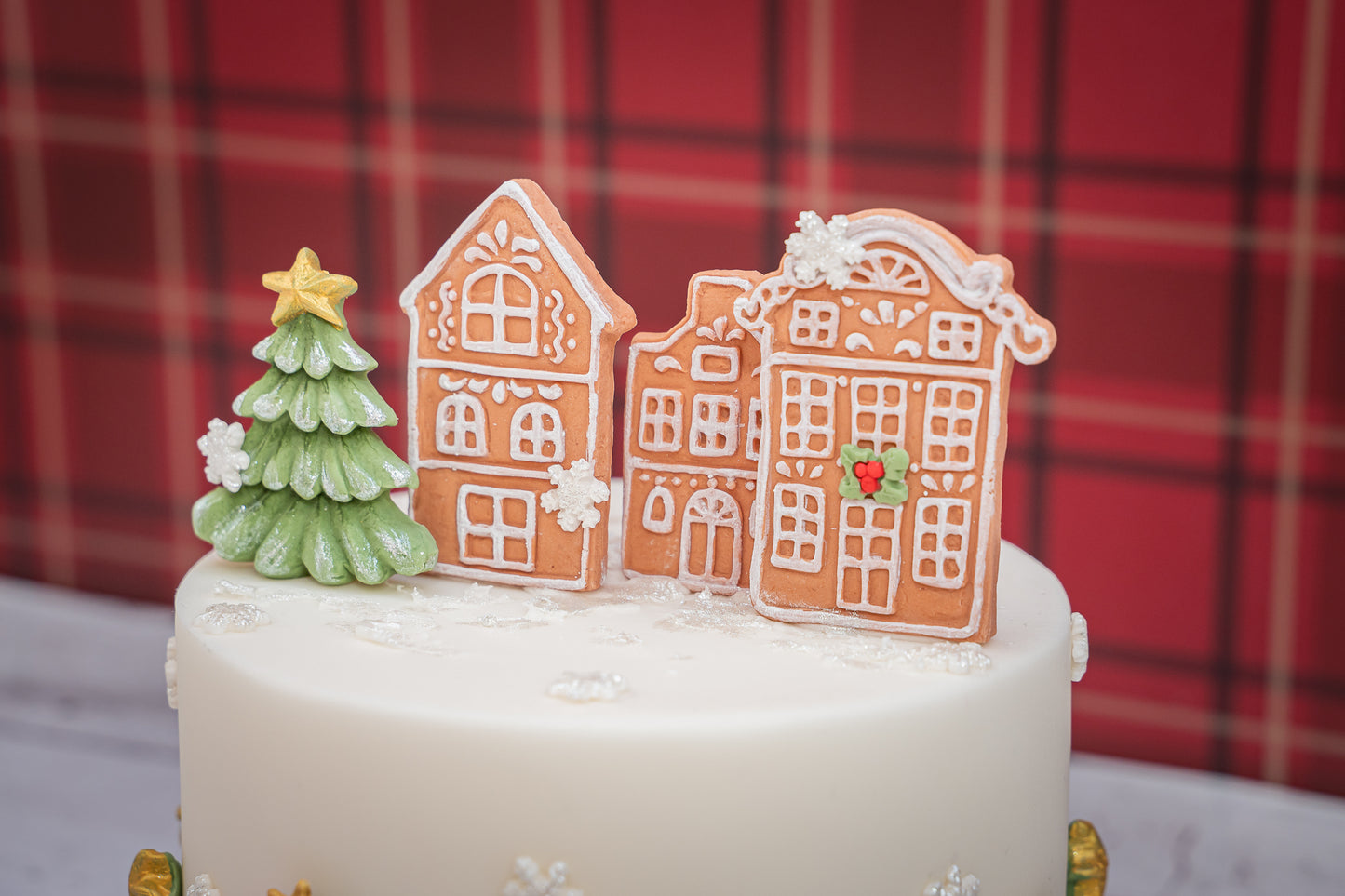 Karen Davies Sugarcraft Gingerbread Houses Silicone Mould
