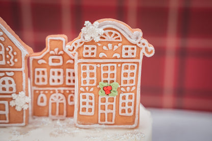 Karen Davies Sugarcraft Gingerbread Houses Silicone Mould