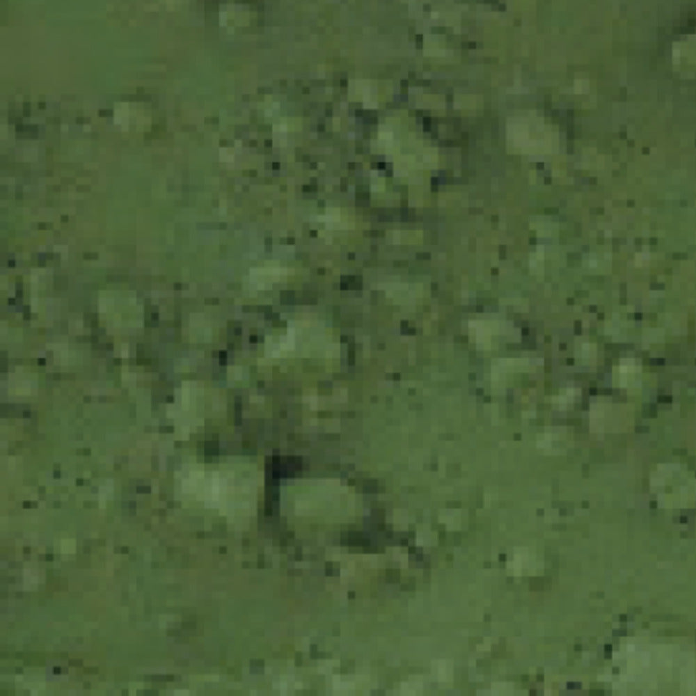 Cadence Moss Effect Paint – Dark Green 150ml
