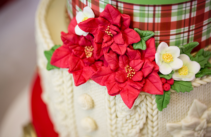 Karen Davies Sugarcraft Winter Wreath Silicone Mould